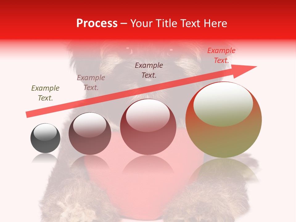 Happy Breed Young PowerPoint Template