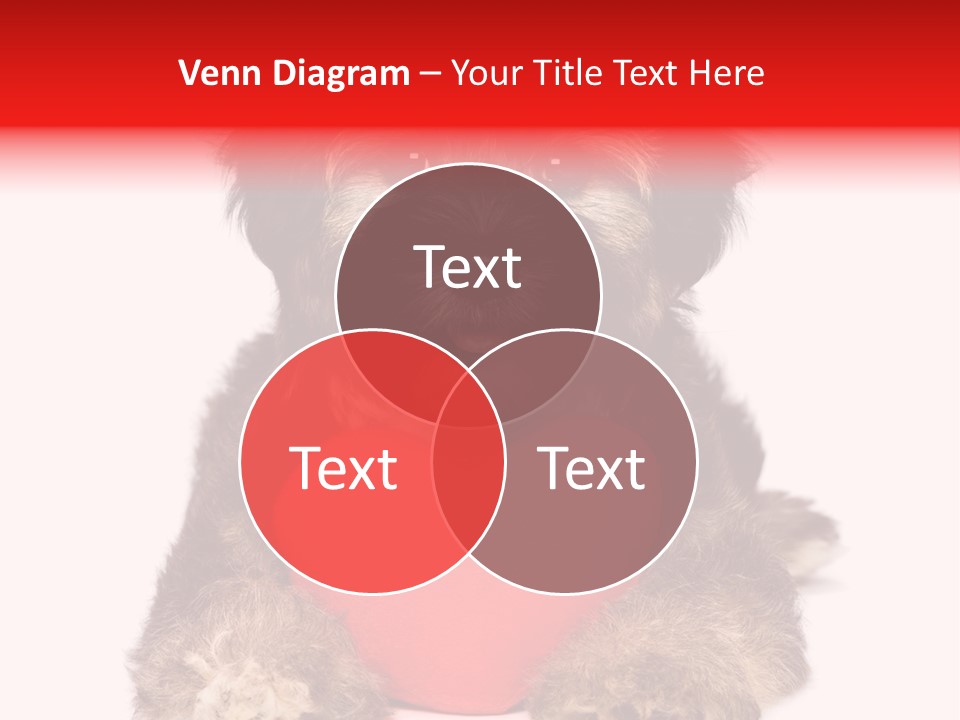 Happy Breed Young PowerPoint Template