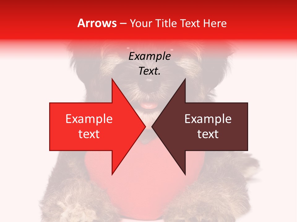 Happy Breed Young PowerPoint Template