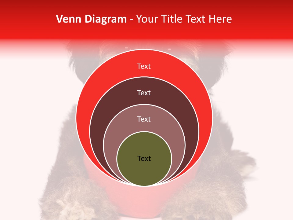 Happy Breed Young PowerPoint Template