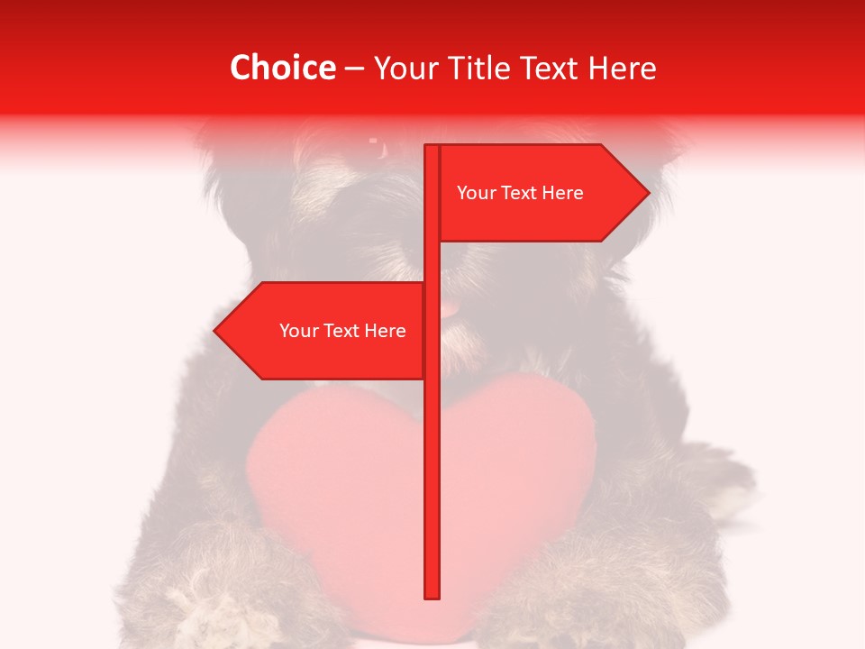 Happy Breed Young PowerPoint Template