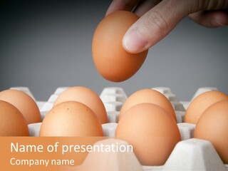 A Hand Reaching For An Egg In A Carton PowerPoint Template