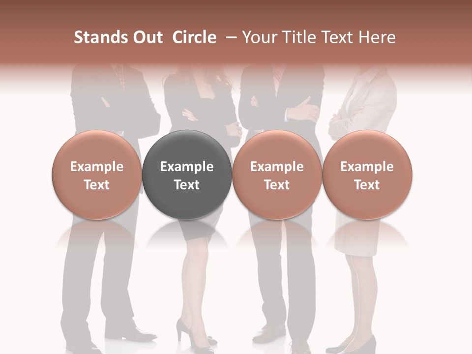 Expertise Leadership Profession PowerPoint Template