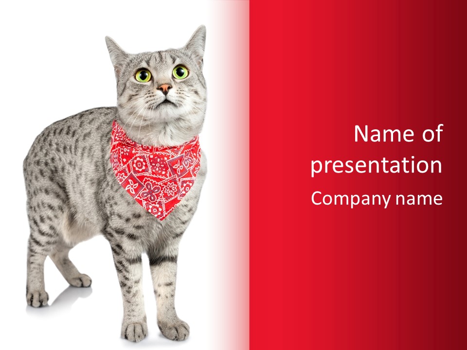 Curious White Bandana PowerPoint Template