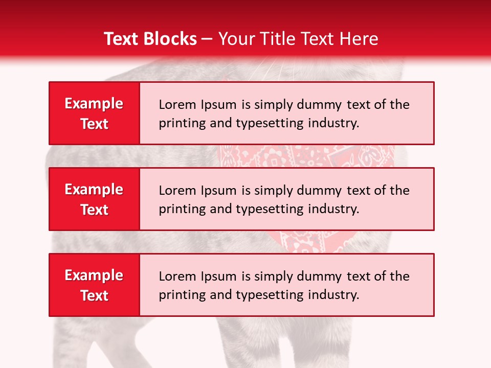 Curious White Bandana PowerPoint Template