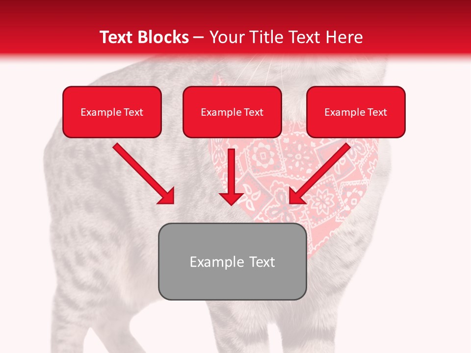 Curious White Bandana PowerPoint Template