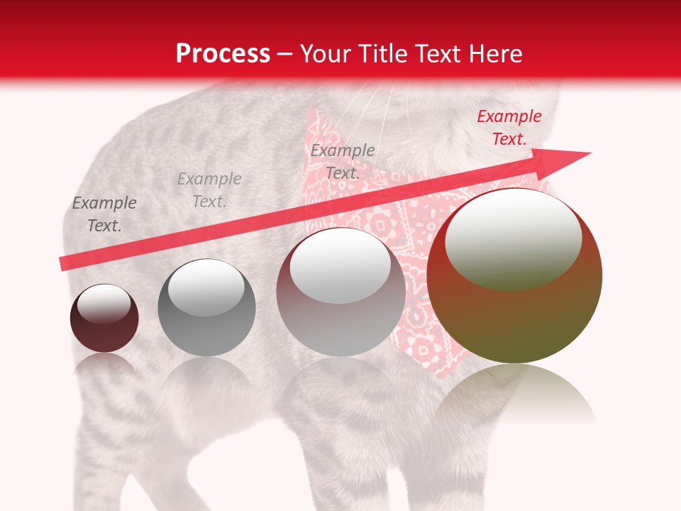 Curious White Bandana PowerPoint Template