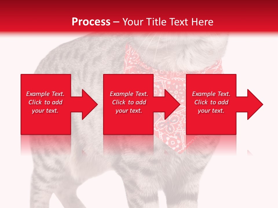 Curious White Bandana PowerPoint Template