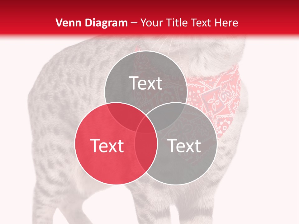 Curious White Bandana PowerPoint Template