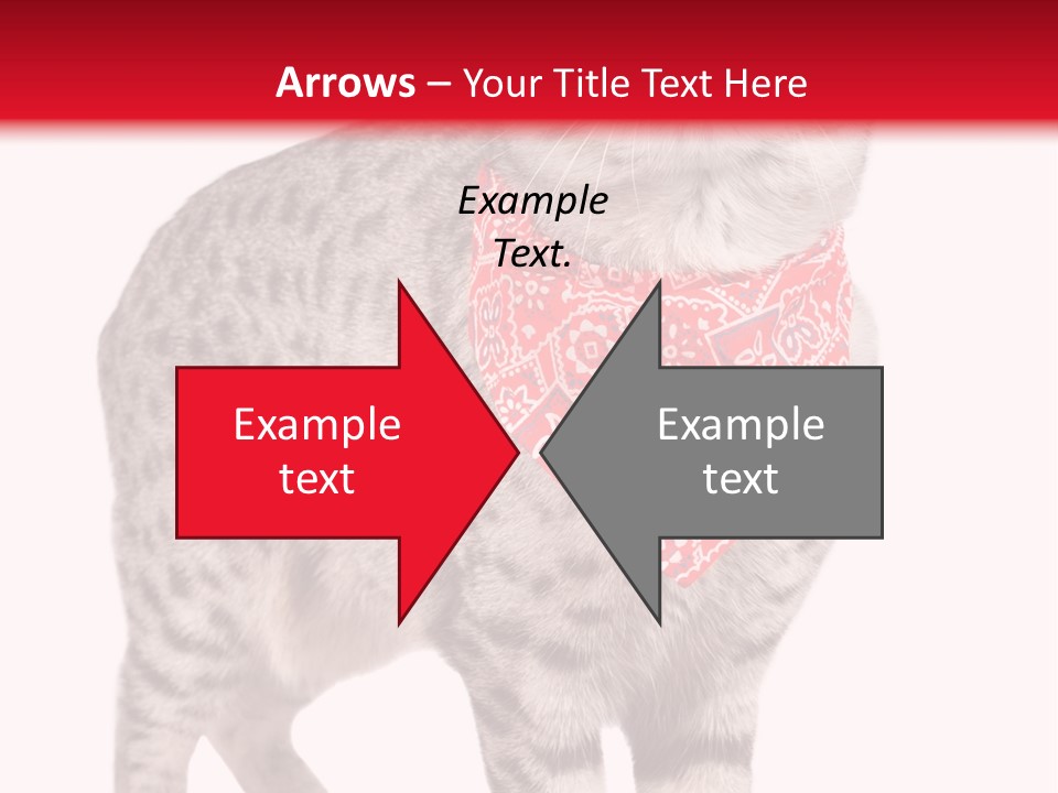 Curious White Bandana PowerPoint Template