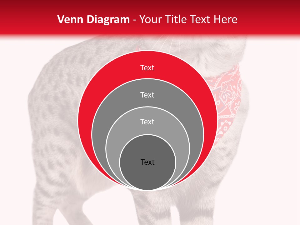 Curious White Bandana PowerPoint Template