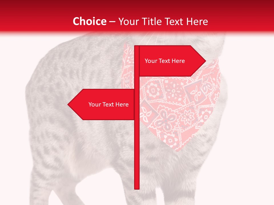 Curious White Bandana PowerPoint Template