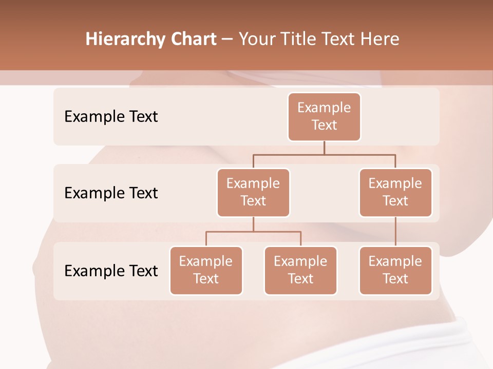 Joy Healthcare Pregnant PowerPoint Template