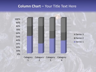 Gourmet Currant Macro PowerPoint Template