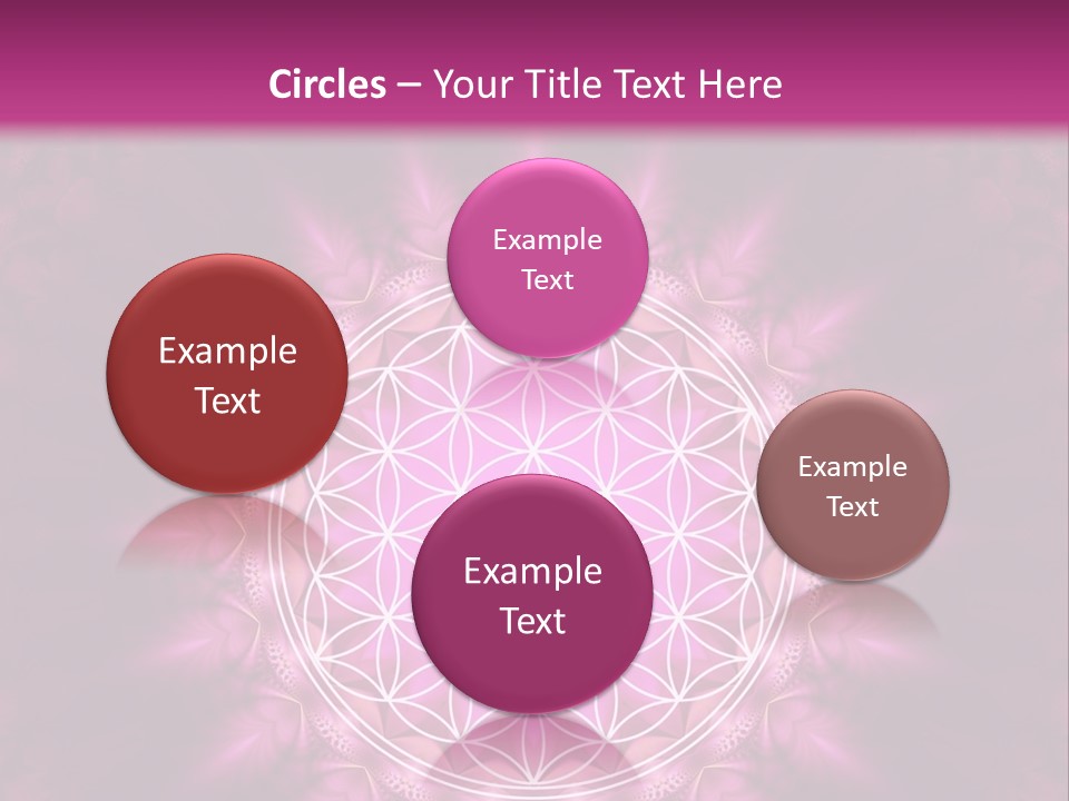 A Pink Flower Of Life Powerpoint Presentation PowerPoint Template