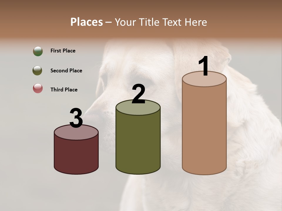 Animal Happy Face PowerPoint Template