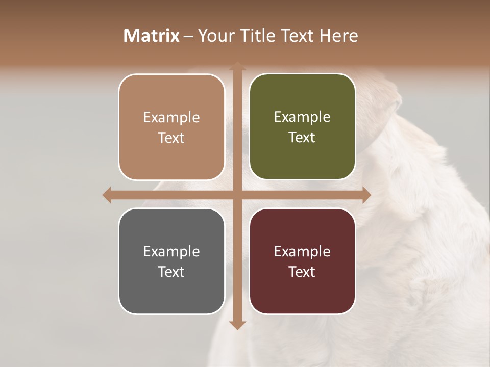 Animal Happy Face PowerPoint Template