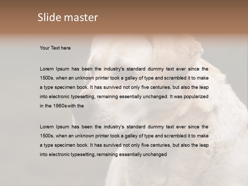 Animal Happy Face PowerPoint Template