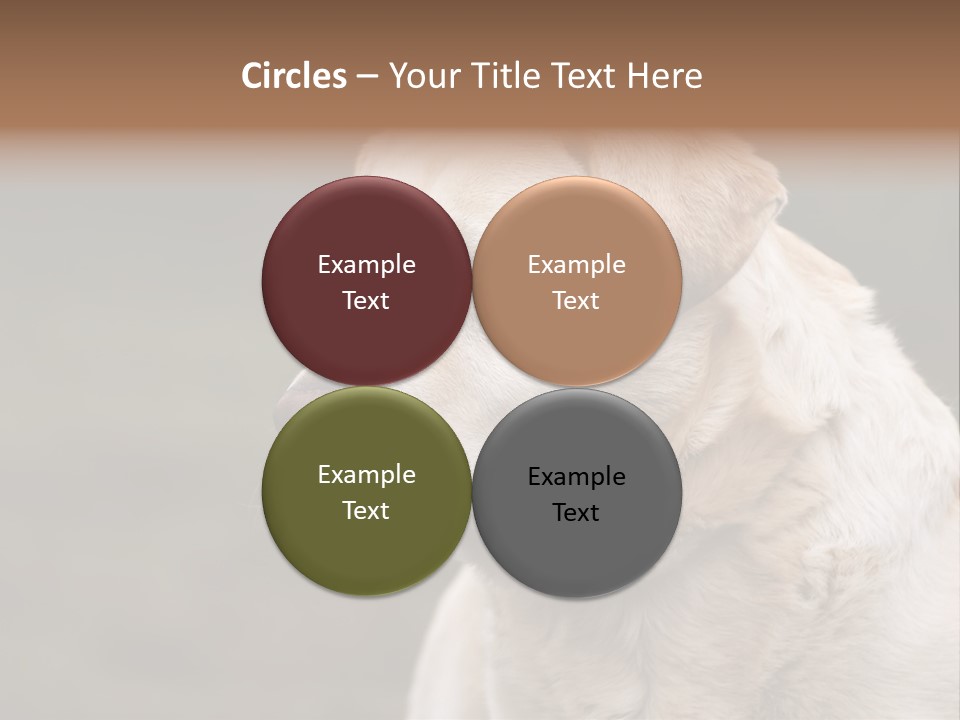 Animal Happy Face PowerPoint Template