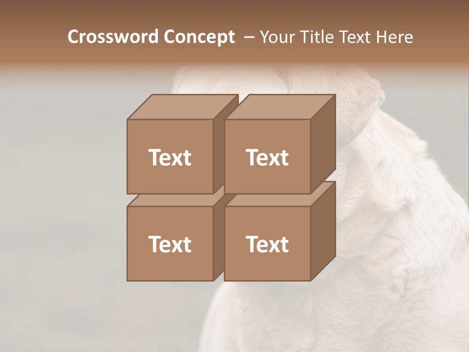 Animal Happy Face PowerPoint Template