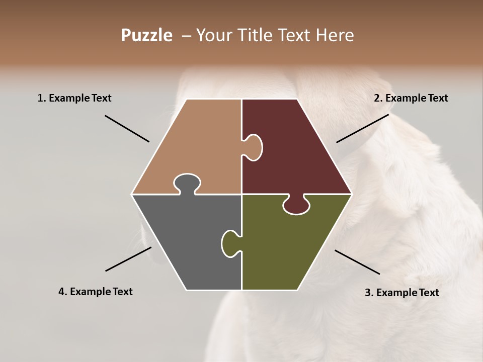 Animal Happy Face PowerPoint Template