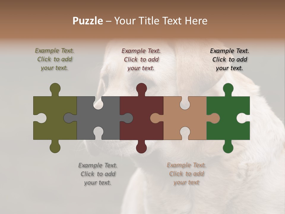 Animal Happy Face PowerPoint Template