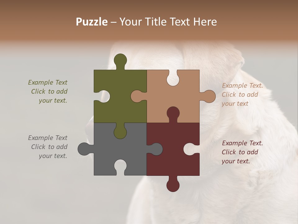 Animal Happy Face PowerPoint Template