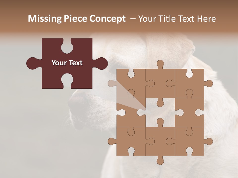 Animal Happy Face PowerPoint Template