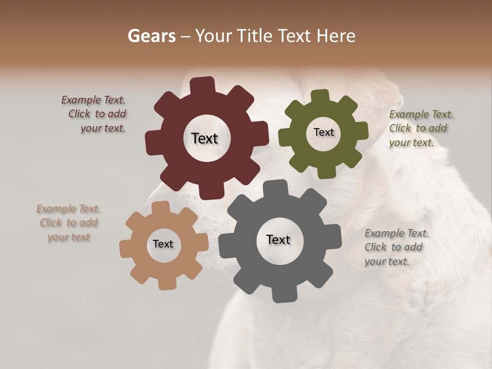 Animal Happy Face PowerPoint Template