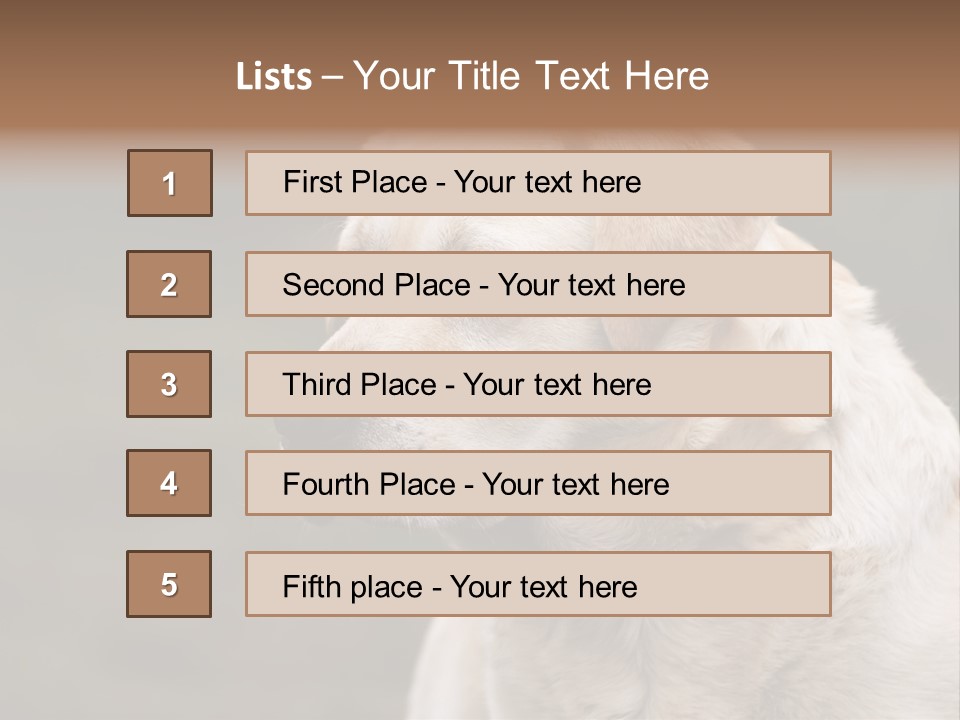 Animal Happy Face PowerPoint Template