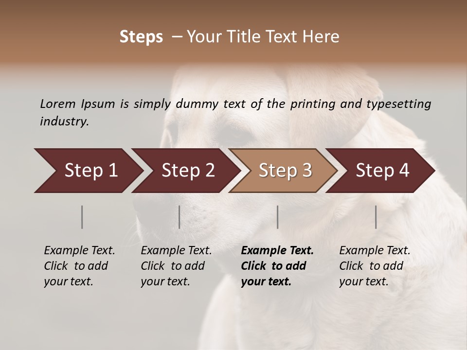 Animal Happy Face PowerPoint Template