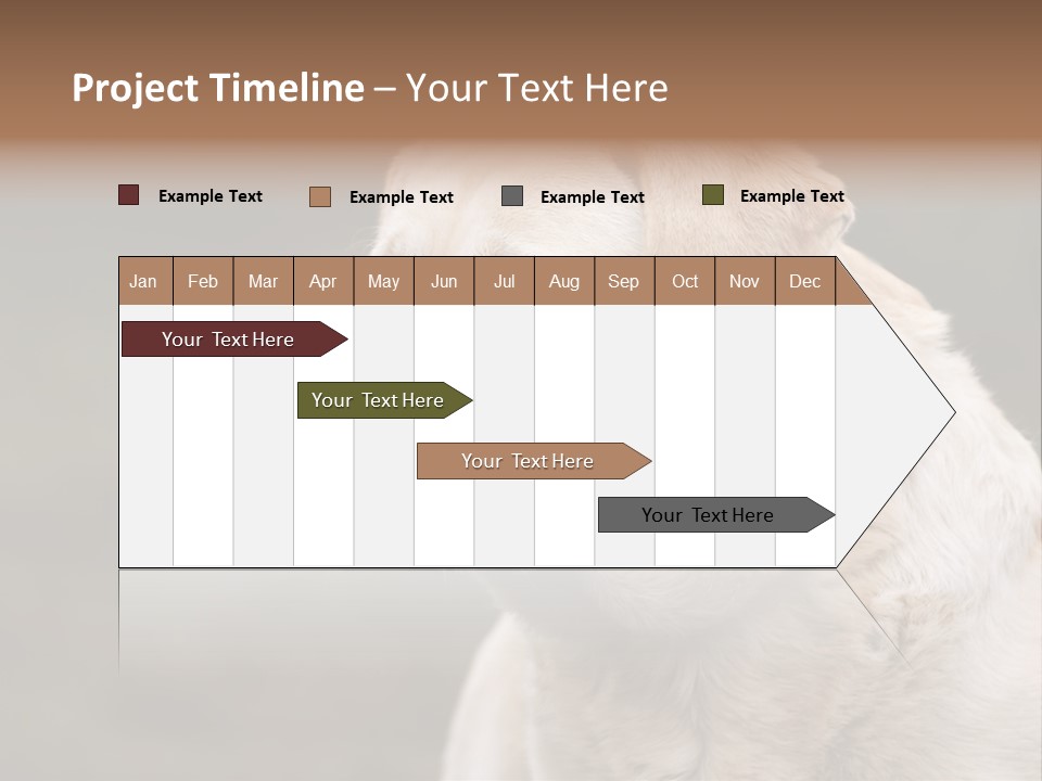 Animal Happy Face PowerPoint Template