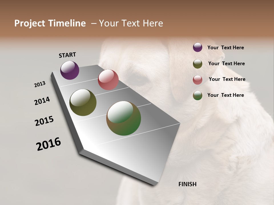 Animal Happy Face PowerPoint Template