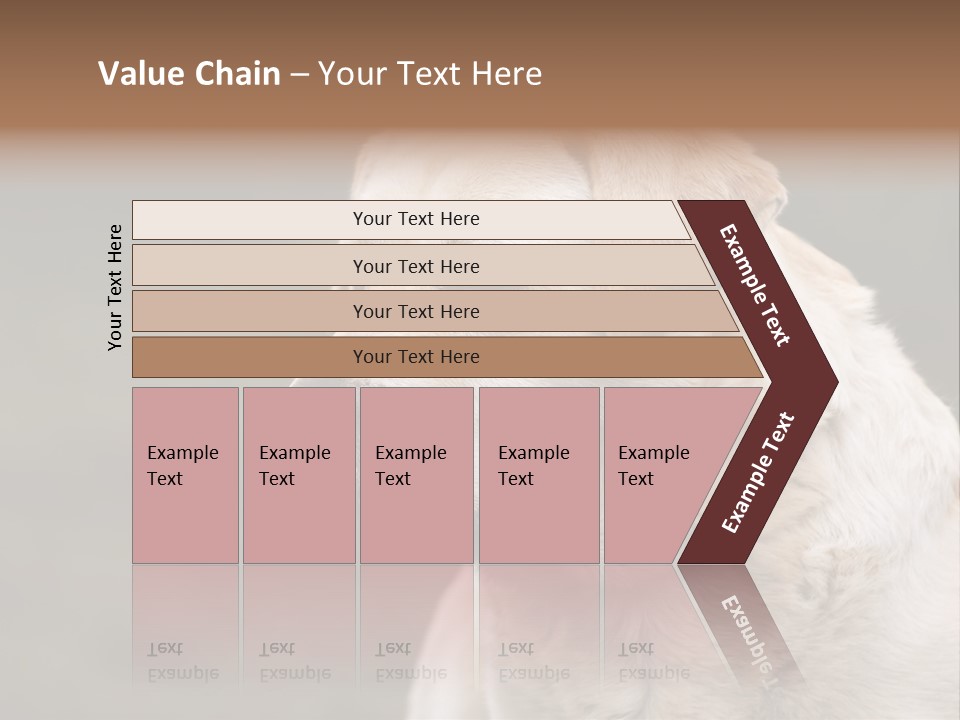 Animal Happy Face PowerPoint Template