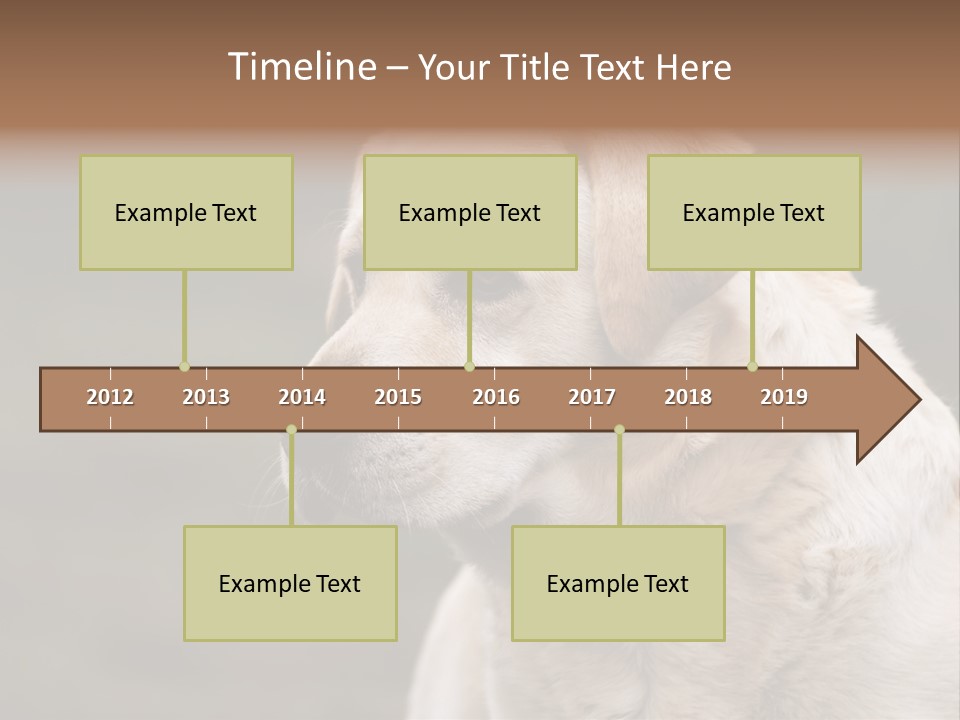 Animal Happy Face PowerPoint Template