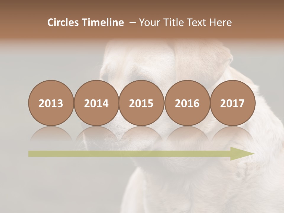 Animal Happy Face PowerPoint Template