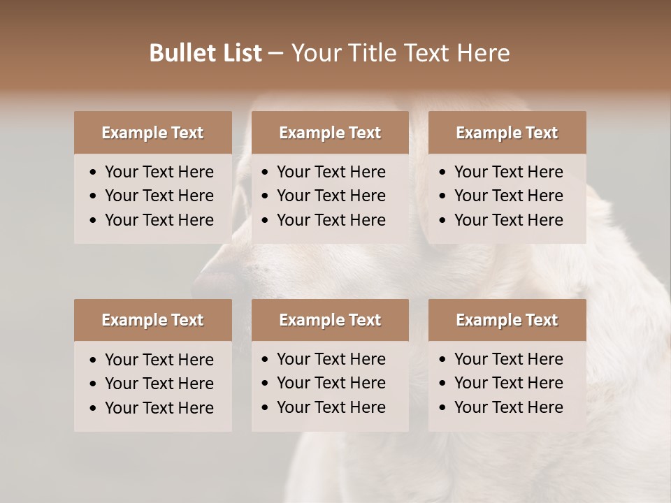 Animal Happy Face PowerPoint Template