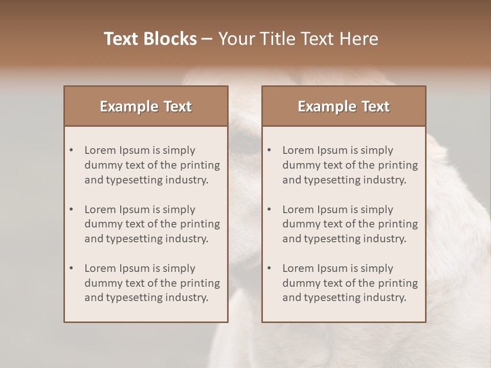 Animal Happy Face PowerPoint Template