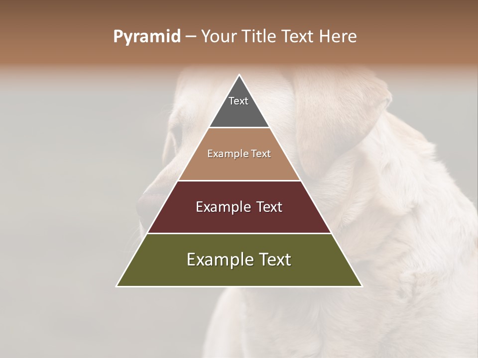 Animal Happy Face PowerPoint Template