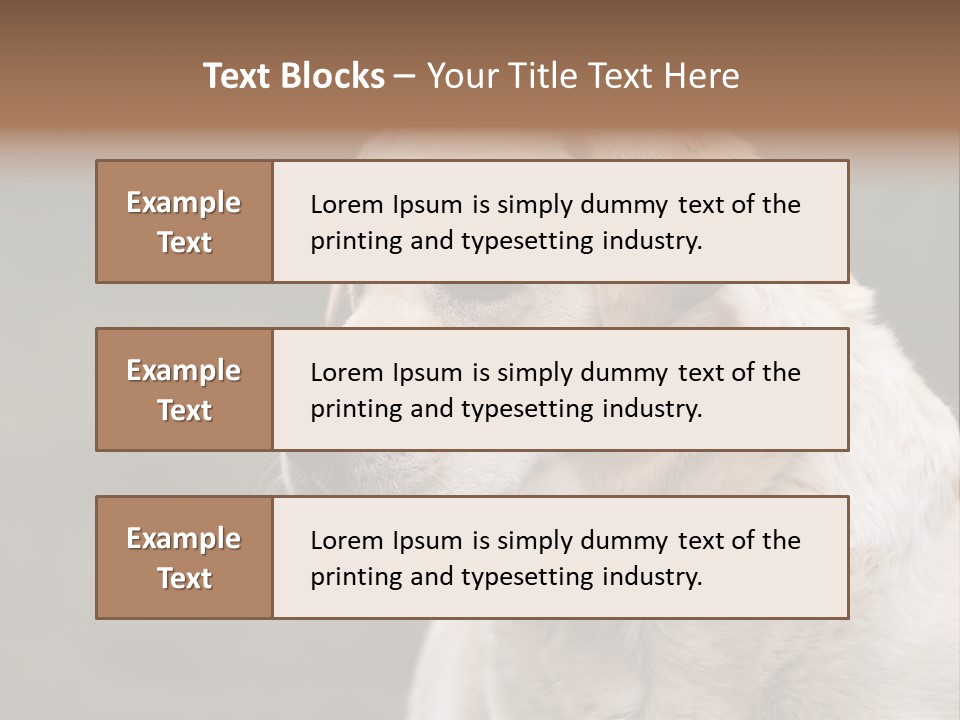 Animal Happy Face PowerPoint Template