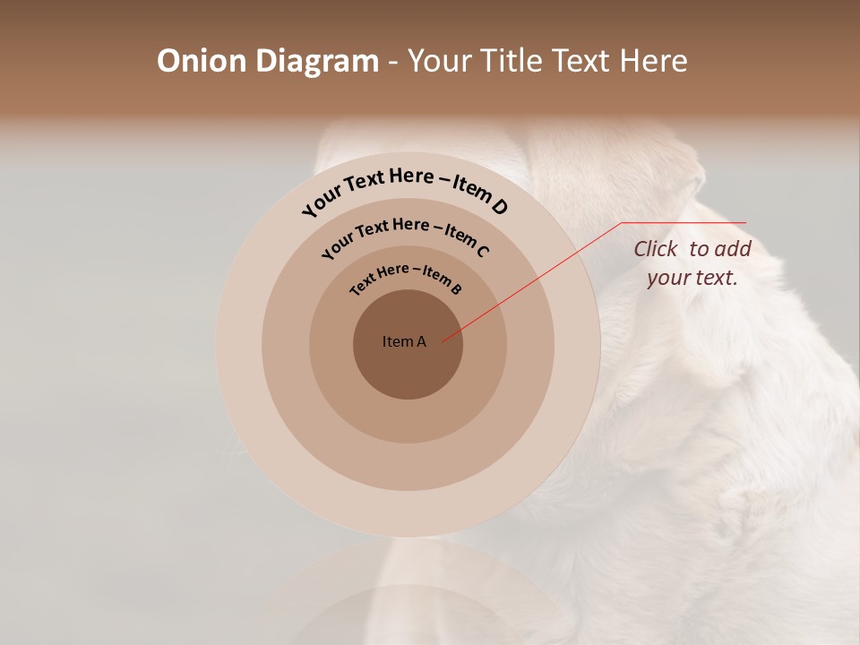 Animal Happy Face PowerPoint Template