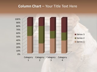 Animal Happy Face PowerPoint Template