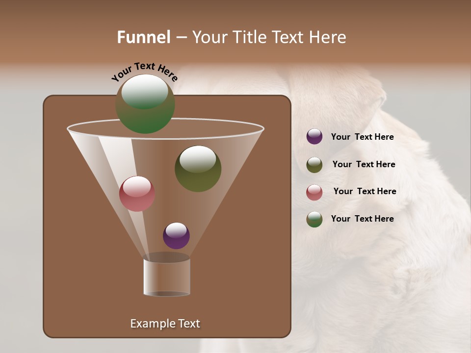 Animal Happy Face PowerPoint Template