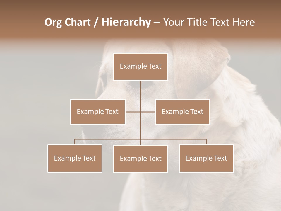 Animal Happy Face PowerPoint Template