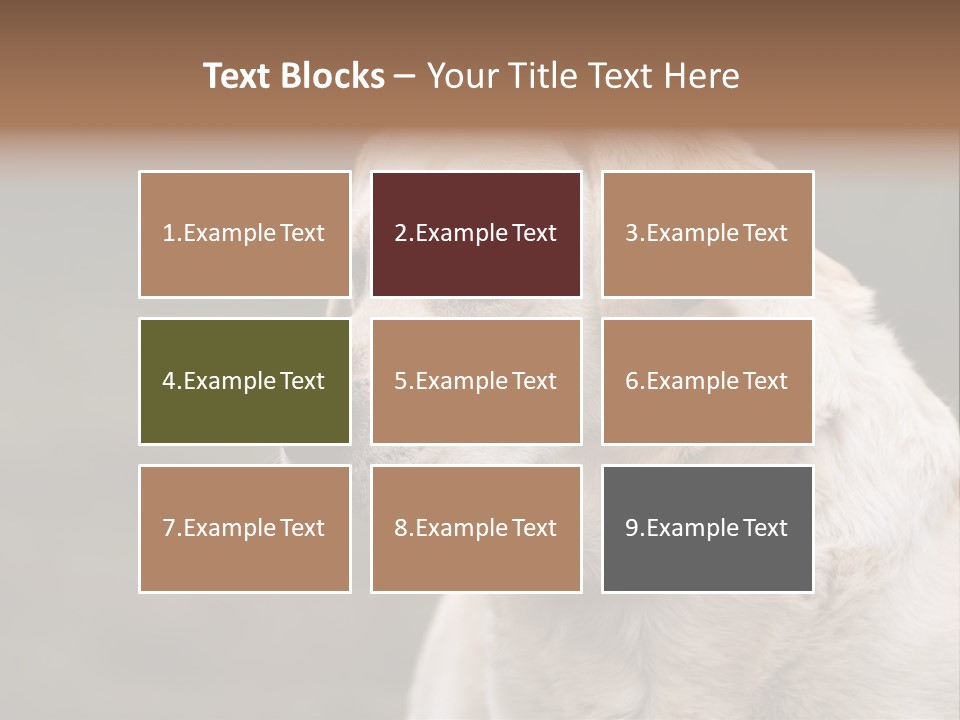 Animal Happy Face PowerPoint Template