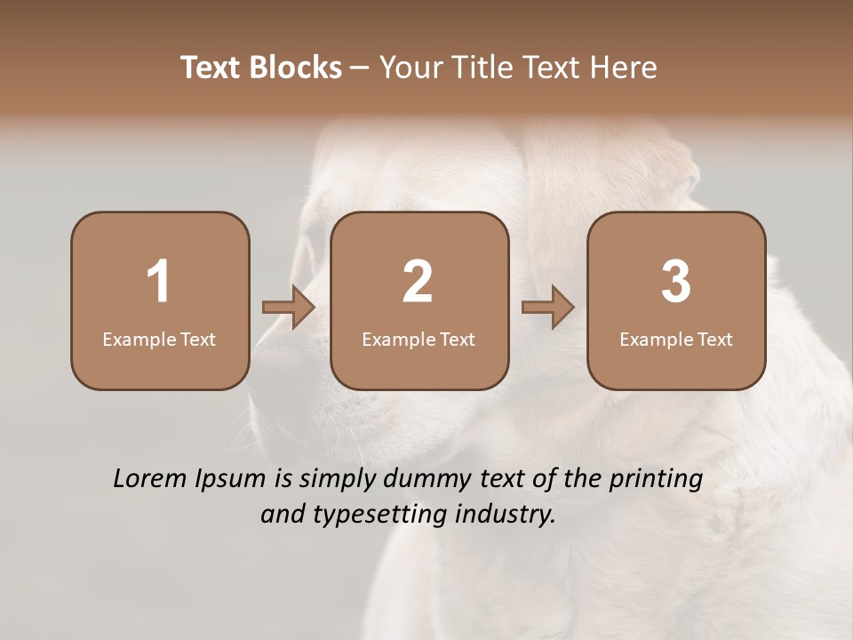 Animal Happy Face PowerPoint Template