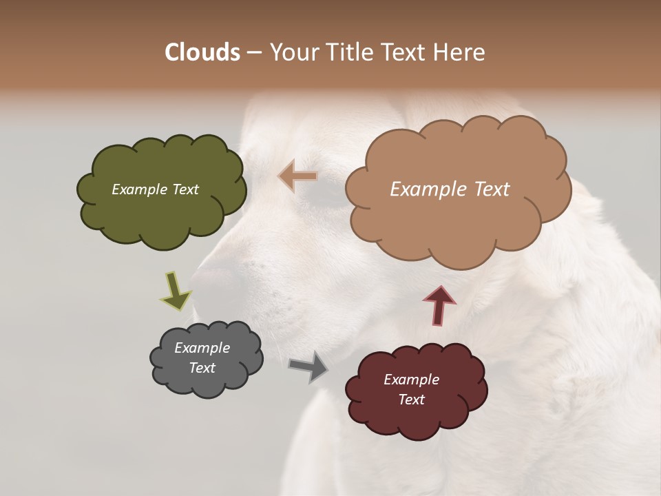 Animal Happy Face PowerPoint Template