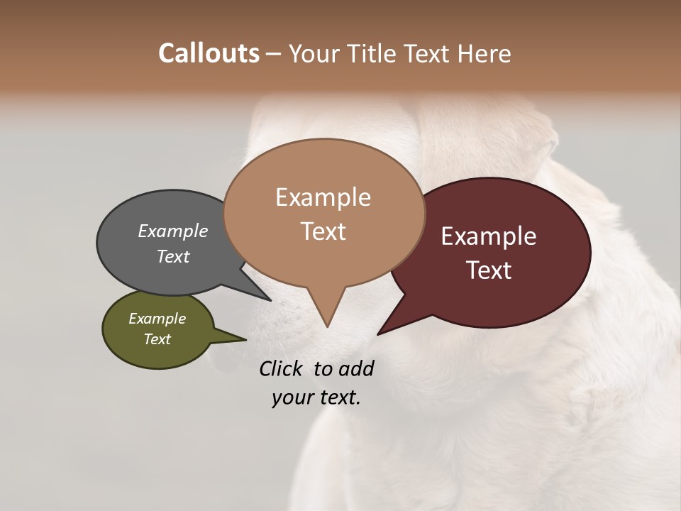 Animal Happy Face PowerPoint Template