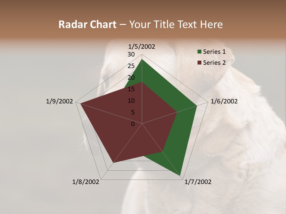 Animal Happy Face PowerPoint Template