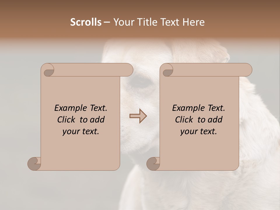 Animal Happy Face PowerPoint Template